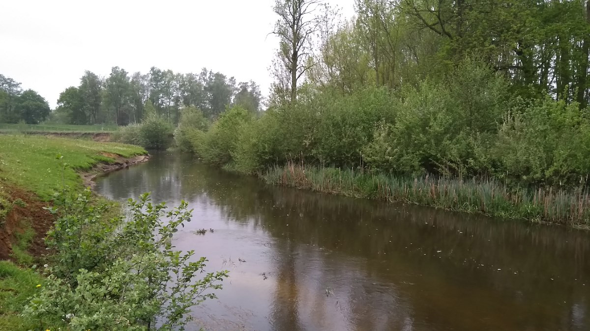 Water met veel groen er omheen